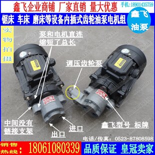 CBW 4齿轮泵和电机一体CB B6 D直插式TCBW B10锯床齿轮油泵电机组
