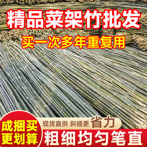 竹竿菜园搭架竹子户外旗杆豆角黄瓜爬藤菜架竹杆支架豇豆搭架杆