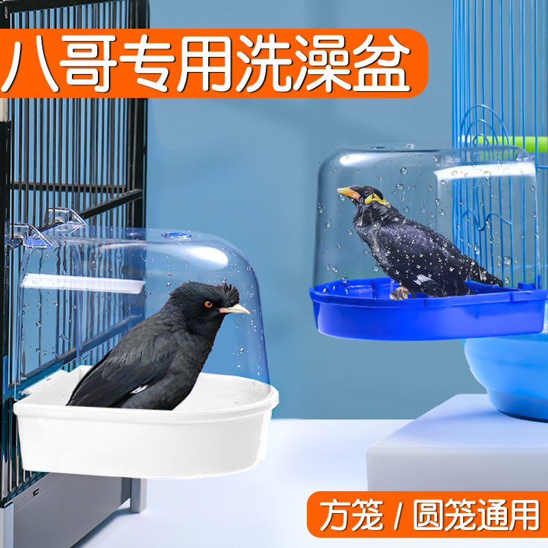 鹦鹉鸟八哥专用洗澡盆大号鹩哥洗澡神器冲凉浴室鸟笼配件用品大全