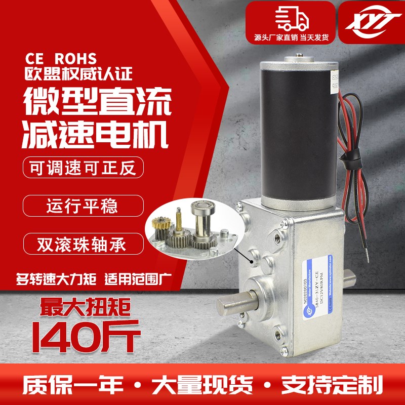 5840-31ZYS微型涡轮蜗杆直流减速电机 低速调速小马达12v24v双轴