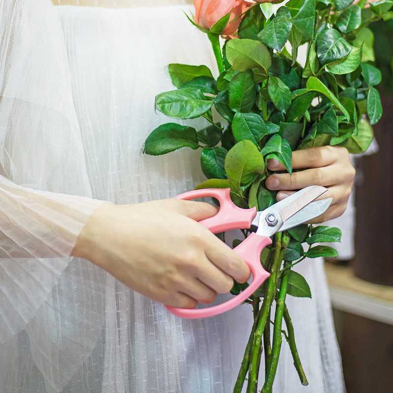 园艺花艺宽头剪刀家用花剪鲜花花道花枝修枝工具玫瑰打刺修花插花