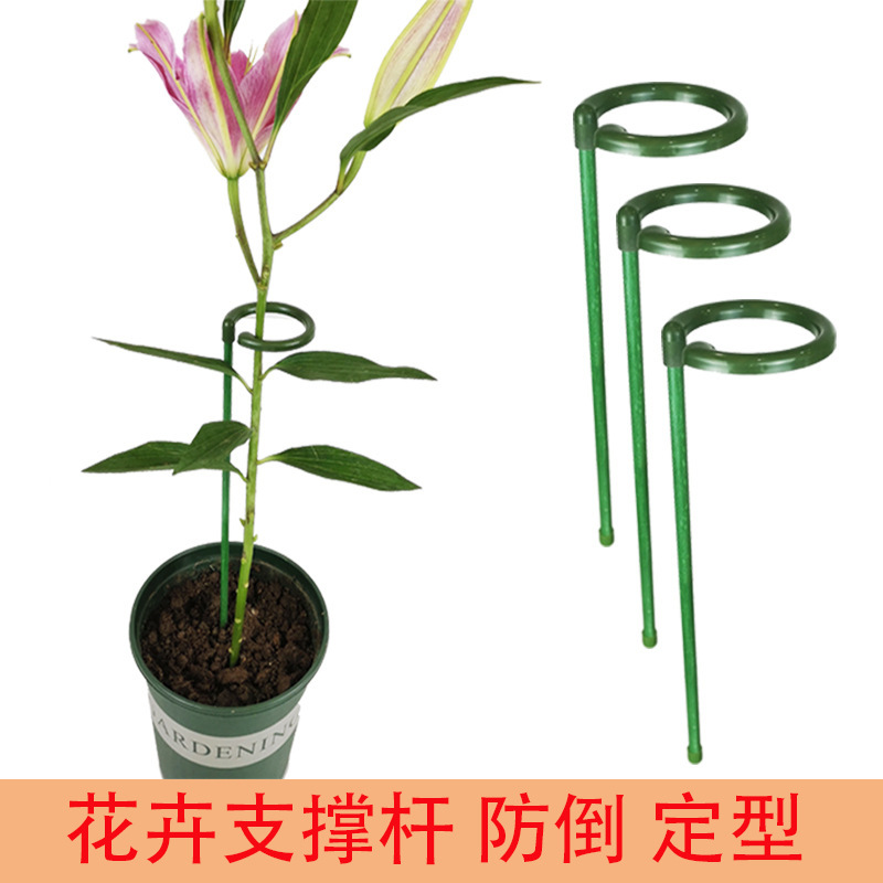 花架子植物园艺固定架室外花卉造型支撑杆蝴蝶兰爬藤防倒伏花支架