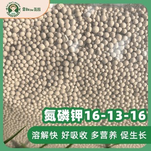 雷叔家庭园艺复合肥5斤装月季果树绣球高效吸收量大安全增产便携