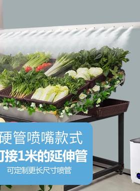 工业家用超声波双核大雾量静音加湿器绿植摆摊景观爬宠除甲醛蔬菜