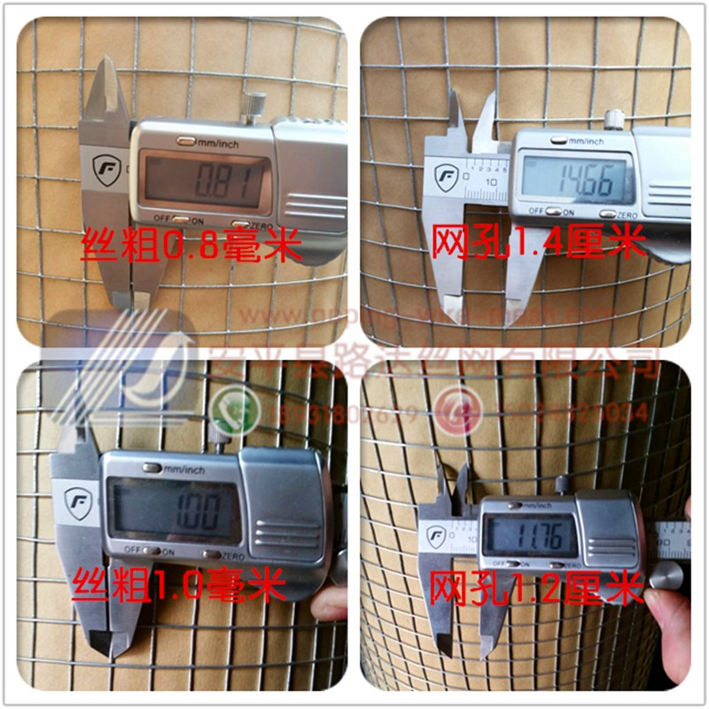 镀锌铁丝网养殖拦鸡网家用围栏网整卷围网小孔钢丝防护网格片加粗