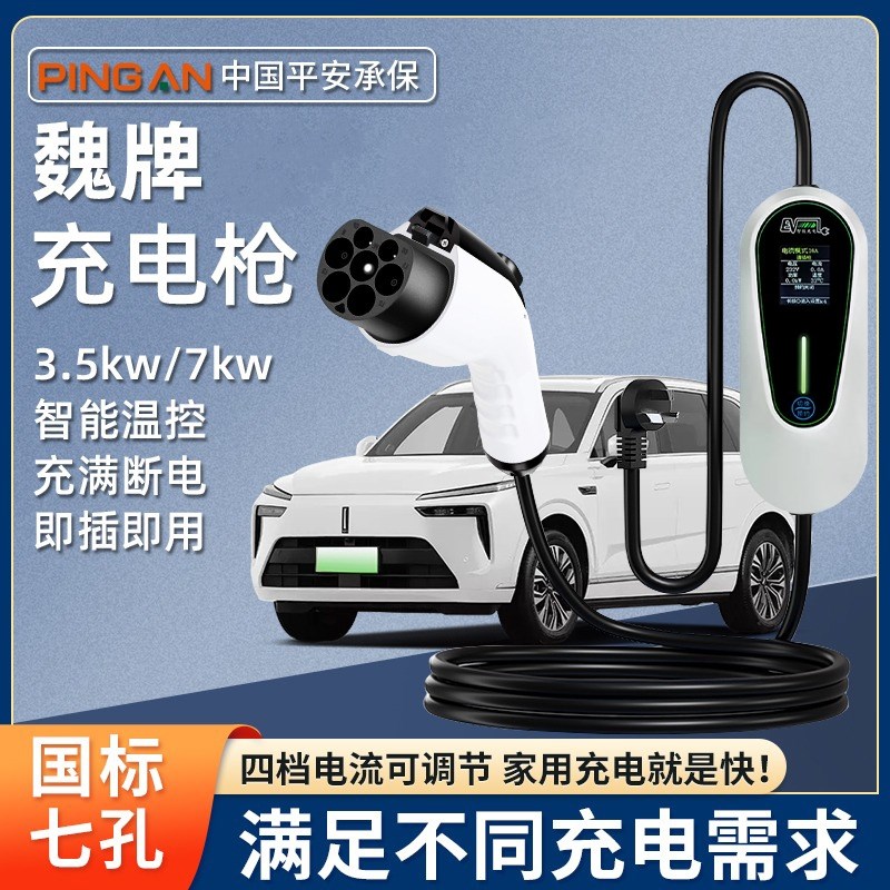 魏牌蓝山新能源电动汽车充电桩便携式随车充免接地冲电枪家用