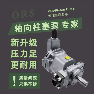 轴向柱塞a泵HY80Y-RP 25Y 40Y 10Y 63Y-LP 160Y 250Y-RP恒源油泵