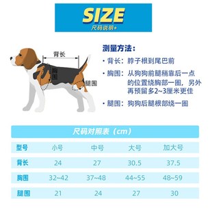 宠物狗背包挂包胸前m包猫包外出郊游便携手提双肩包背带猫咪狗用