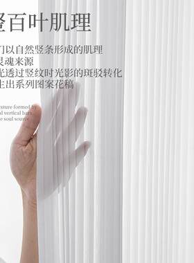网红竖百叶梦幻帘窗帘白纱纱帘透光不E透人2021年新款客厅白色纱