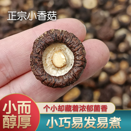 香菇新货特级小香菇去根无硫熏