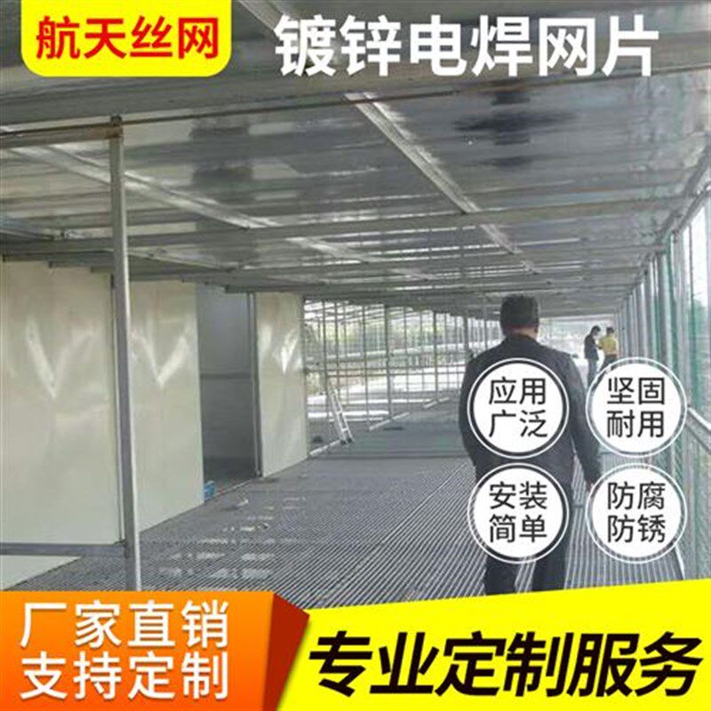 镀锌网片加粗长孔鸽舍鸽棚底围网苗床养殖围栏方孔铁网Z格防锈精