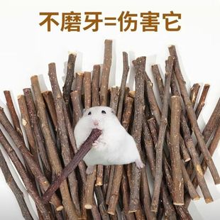 仓鼠磨牙棒苹果枝甜竹兔子小龙猫专用木金丝熊补钙树枝苹果枝