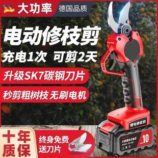 德国进口锂电电动剪刀充电式修剪树枝果树园艺剪子修枝剪树剪刀剪