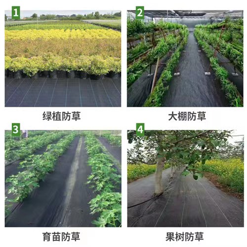 农用防草布除草布耐用耐踩抗老化果园园林园艺花卉专用环保除草膜