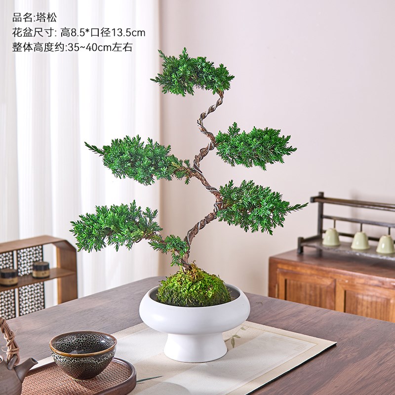 真柏迎客松真树盆景五层塔松客厅盆栽花卉送礼开业室内外四季好养