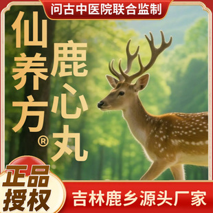 仙养方鹿心丸梅花鹿鹿心东北特产正品保障5g*10丸鹿乡双阳