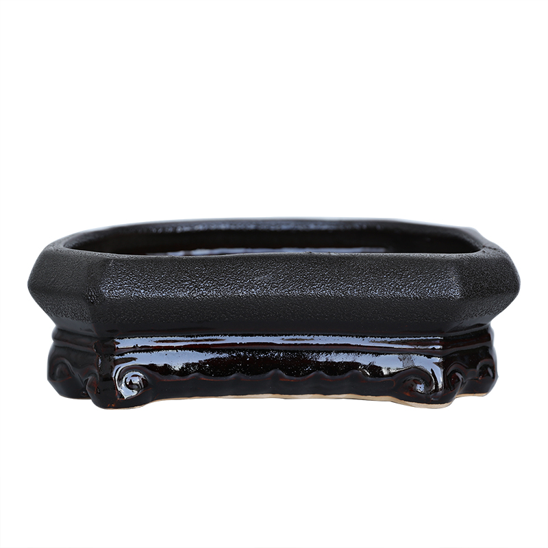 罗汉松盆景盆花卉绿植盆景盆创意造型树花盆包邮绿植花卉