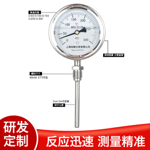 WNF耐震抗震防腐蚀锅炉高温指针温度表金属温度计
