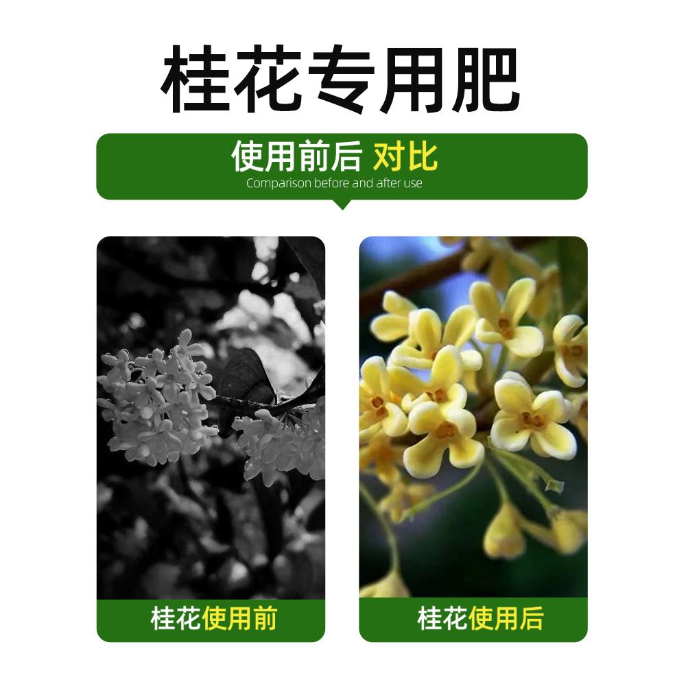 桂花树专用肥料花养花改善黄叶有机肥绿植盆栽四季通用型复合肥促