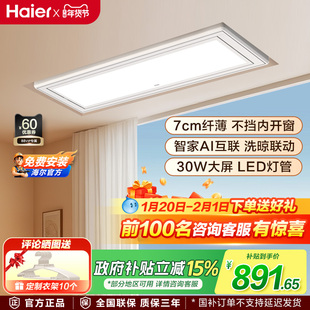 海尔电动晾衣架智能款洗晒联动隐藏式阳台晾衣机超薄款C12U1