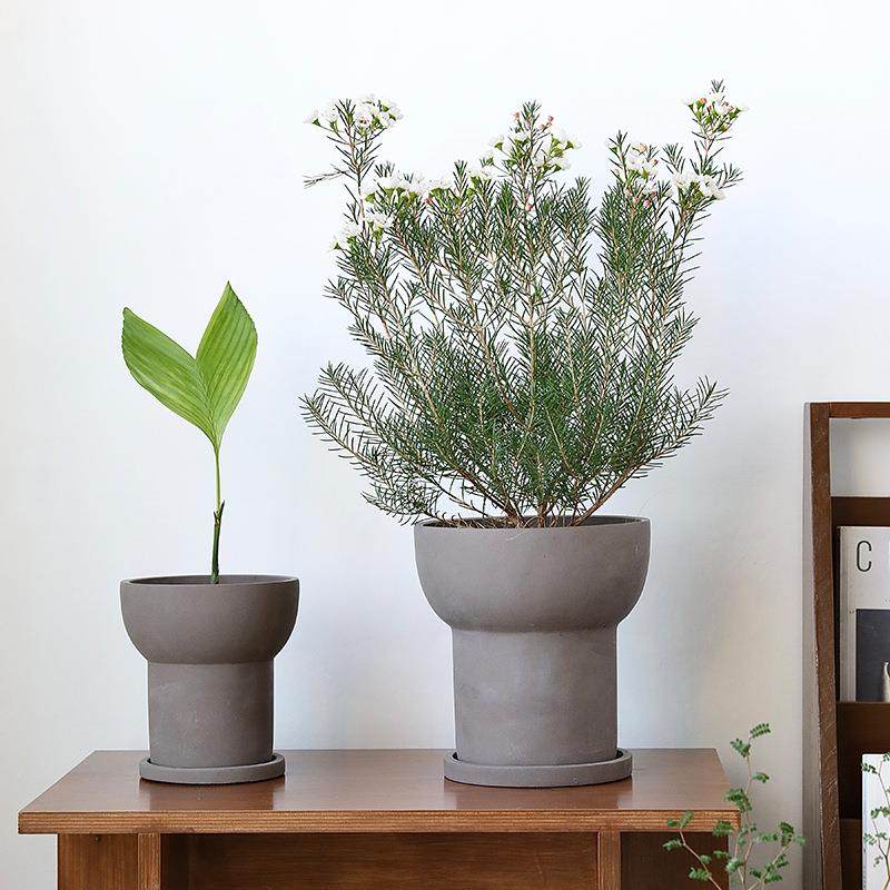 0TeeUM韩国手工花盆水泥仿陶土手制透气兰花南洋杉多肉盆带托盘