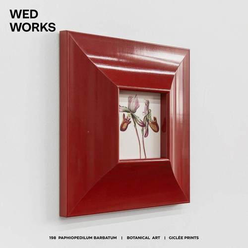 W物ED小众中古包豪 斯植花红色钢琴198漆多巴胺装饰画 画 玄关客