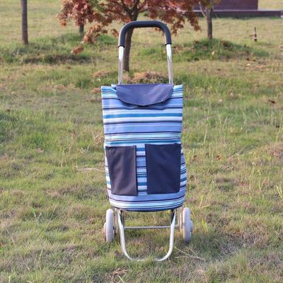 人两轮铝合铝合金小金超轻可携式折拉叠手拖行推李老爬楼买菜拉杆