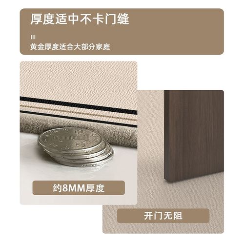 高级感入户门地垫门口家用脚垫可裁剪防滑新款进门免洗可定制地毯