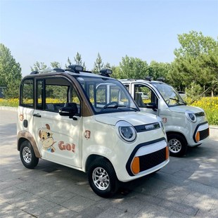 女生两门电动四轮车成人家用代步轿车油电两用新能源锂电汽车