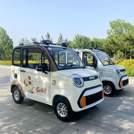 女生两门电动四轮车成人家用代步轿车油电两用新能源锂电汽车