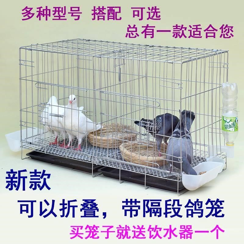 养鸽子大笼子家用鸽子巢箱肉鸽繁殖配对笼巢窝养殖笼用品用具