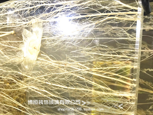 定制钢化艺术玻璃入户玄关客厅隔断 真植物玻璃夹胶工艺 安全玻璃