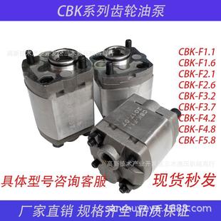 F2.6 高压齿轮泵电动液压微型油泵CBK F2.1 F1.6 F3.2 F1.1