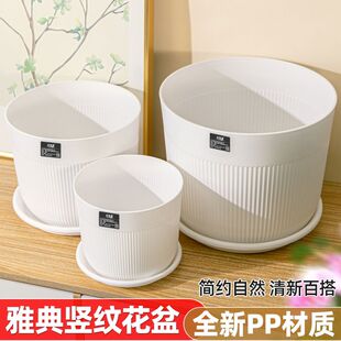 花盆家用塑料大号蝴蝶兰花多肉专用轻奢高级感树脂仿陶瓷小加