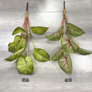 绿植仙芋叶仿真植物拍摄背景墙布置红芯芋叶6片叶子造景假树叶2款