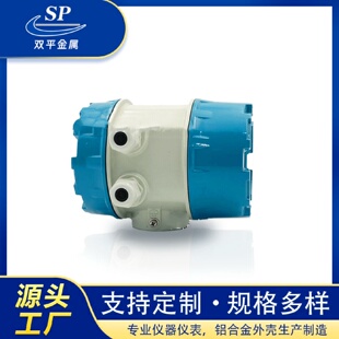 BTA涡轮涡阶电磁流量计变送器铸铝外壳 智能型椭圆齿轮流量计SP