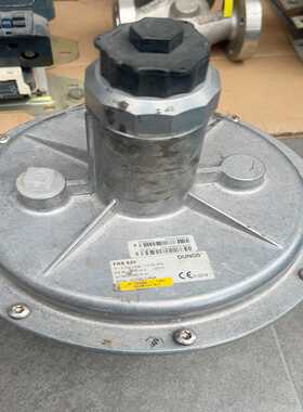 德国冬斯DUNGS调压阀FRS520询价