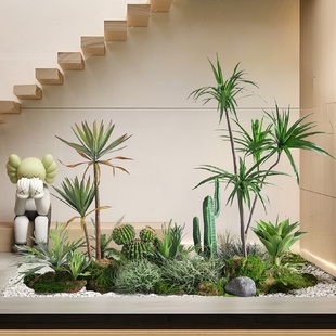 饰造景巴西铁仙人球 成套热带绿植景观室内展厅仿真植物楼梯下装