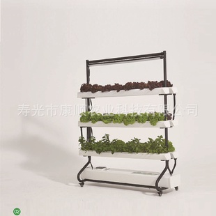 家用種菜神器無土栽培小型家用智能蔬菜種植機水培蔬菜種菜機家用