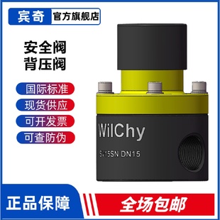 计量泵加药管路安全阀&背压阀PVC材质防止虹吸计量泵泄压阀