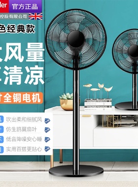 电风扇落地扇家用宿舍电扇遥控立式机械摇头定时台式工业风扇