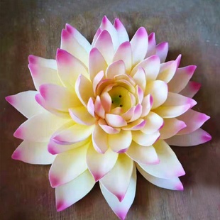 香插陶瓷睡莲花朵线香座家用大号莲花手工荷花香器摆件 禅意中式
