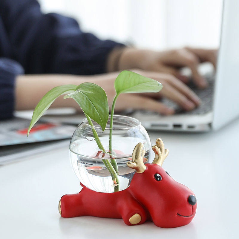 水培植物玻璃瓶透明玻璃花瓶容器绿萝卡通花盆圆球形鱼缸水养