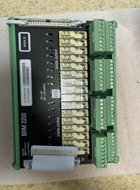 【请询价】SAM BRM 2200数字输出模块型号8100012