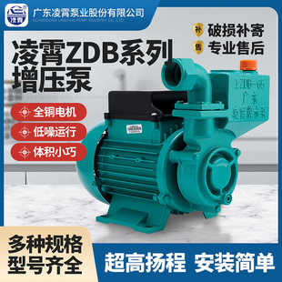 广东凌霄水泵增压泵家用全自动抽水井自来水管道加压1ZDB65型
