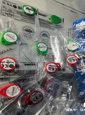 岚岚机械绿色EKS-A-K1GNWT32-EU 094839电子钥匙