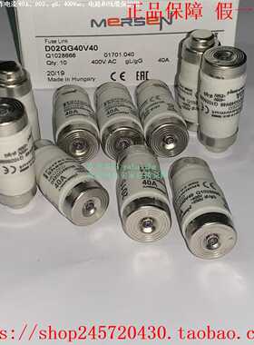 D02GG40V40Q1028666D02GG40V50D215191MERSEN熔断器