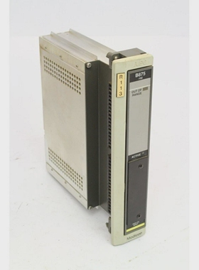 MODICONASB875102AS-B875-102Analoginput(B817)