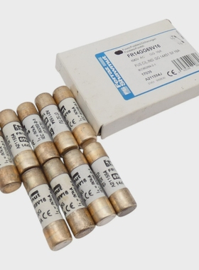 9xFerrazShawmutFR14GG69V16690VACGG16ASicherungen/F