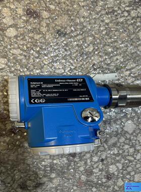 Endress+Hauser Soliphant M 型号；议价